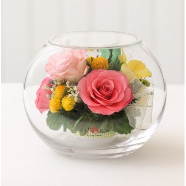 FIORA Арт:56161(BMs-M) цветы в стекле